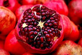 pomegranate port said express